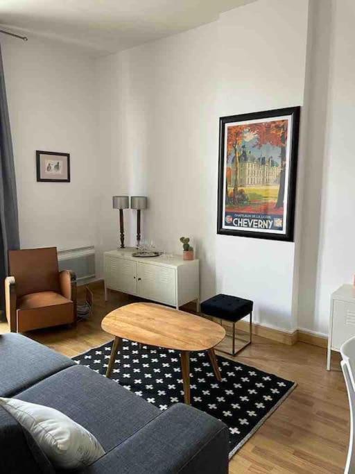 ~Rosa Bonheur~Hyper Centre Apartment บลัวส์ ภายนอก รูปภาพ