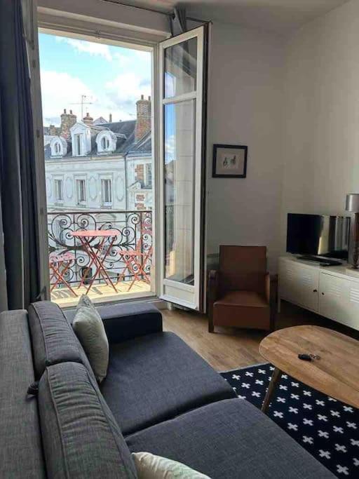 ~Rosa Bonheur~Hyper Centre Apartment บลัวส์ ภายนอก รูปภาพ